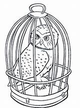 Cage Owl Coloring Pages Realistic Bestappsforkids sketch template