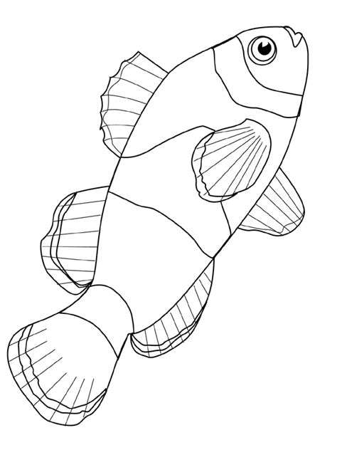 finding nemo coloring pages clip art library