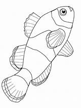 Fish Coloring Pages Printable Kids Poisson sketch template