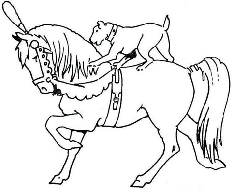 dog  horse coloring pages horse coloring pages horse coloring