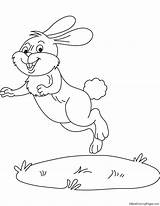 Rabbit Hopping Coloring Pages Kids sketch template