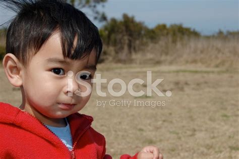 boy stock photo royalty  freeimages