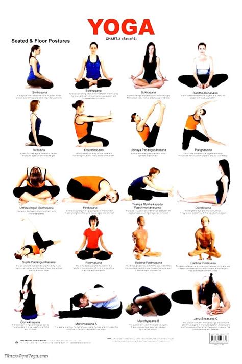 yoga poses  beginners pictures work  picture media work  picture media