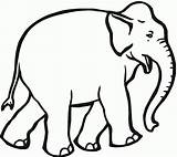 Elefante Coloring Lawanna February sketch template