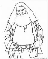 Hagrid Potter Harry Coloring Pages Rubeus Drawing Giant Malfoy Draco Movie Printable Half Popular Info Gif Book Coloringhome sketch template