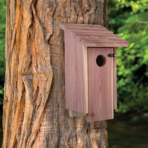 pennington cedar bluebird wild bird house  unit brown   cedar wood   ebay