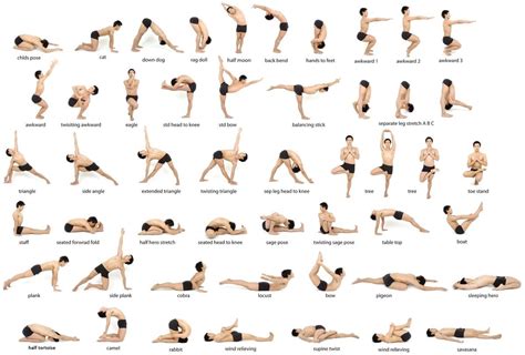 Yoga Poses Names And Benefits Work Out Picture Media