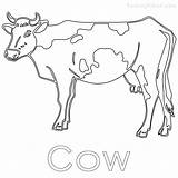 Cow Coloring Pages Dairy Printable Print Color Getcolorings Getdrawings Kids sketch template