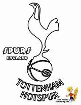 Tottenham Hotspur Fifa Teams sketch template