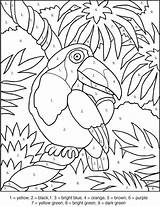 Color Toucan Number Coloring Kids Pages Numbers Games Colour Numeros Worksheets Pintar Education Printable Por Bird Printables Adult Worksheet Atividades sketch template
