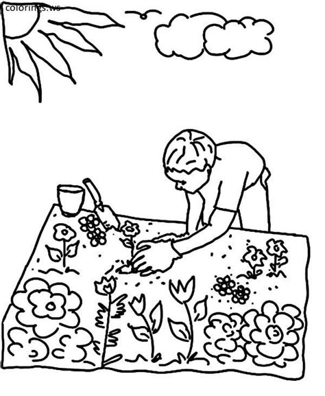 flowers   garden colouring pages flower garden coloring pages