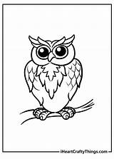 Owls Iheartcraftythings sketch template