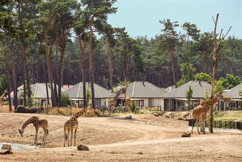 aanbiedingen overnachten met korting beekse bergen