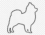 Pomeranian Outline Drawing Clipart Face Chiwawa Paintingvalley Vector Pinclipart sketch template