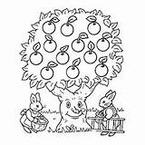 Apple Apples Coloring Pages Picking Ones Little Color Tree Basket sketch template