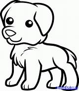 Dog Drawing Coloring Golden Puppy Retriever Drawings Pages Dogs Cute Animals Kids Easy Draw Clipart Printable Step Face Print Animal sketch template