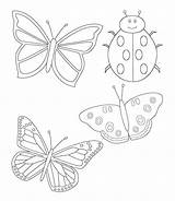 Coloring Pages Butterfly Ladybug Butterflies sketch template