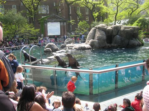 zoo visits  york city