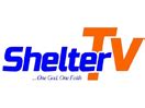 shelter tv lyngsat