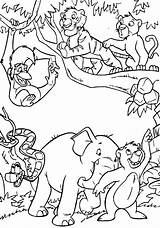 Mewarnai Animasi Junggle Binatang Anak Tokoh sketch template