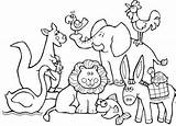 Animals Carnival Coloring Pages Unit Teacherspayteachers Group Great 1st Grade Animal Music Mallets sketch template