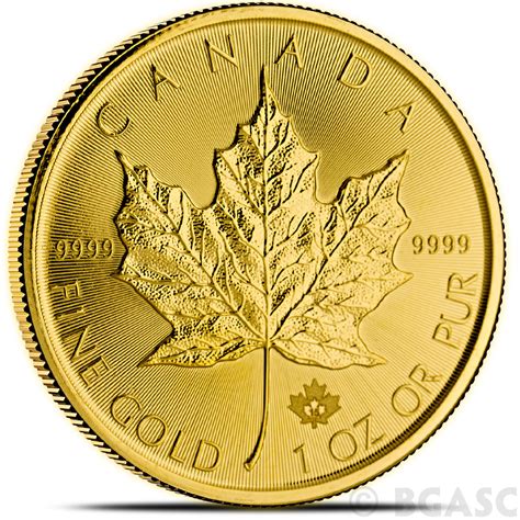 buy   oz canadian gold maple leaf bullion coin brilliant