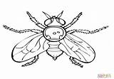 Firefly Coloring Pages Serenity Tv Show Clipart sketch template