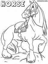 Horse Draught Coloring Designlooter 04kb 1000px Draft sketch template