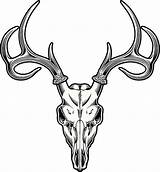 Deer Skull Clipart Clipground sketch template