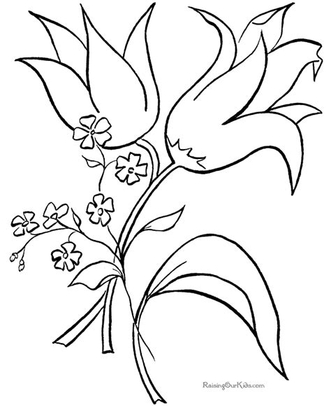 flower outline printable coloring home