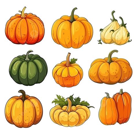 pumpkin cartoon set halloween holiday thanksgiving farm harvest png