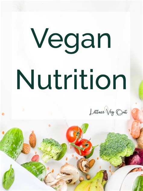 vegan nutrition important nutrients for a sustainable vegan diet