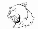 Tiger Tooth Saber Drawing Coloring Pages Toothed Realistic Book Getdrawings Cat sketch template