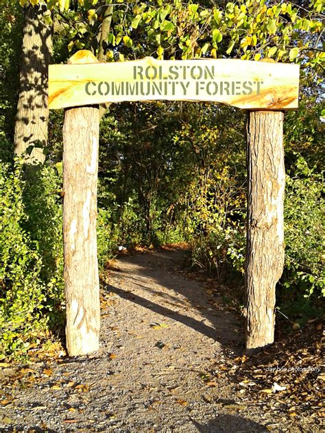 day  photography forest sign