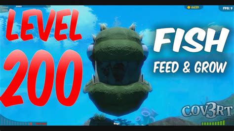 level    boss feed grow fish youtube