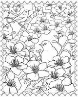 Blossom Coloring Cherry Tree Pages Japanese Flower Publications Dover Drawing Adult Flowers Lips Getdrawings Doverpublications Kissing Sheet Book Colouring Printable sketch template