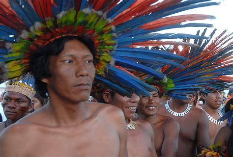 aua povos indigenas  brasil