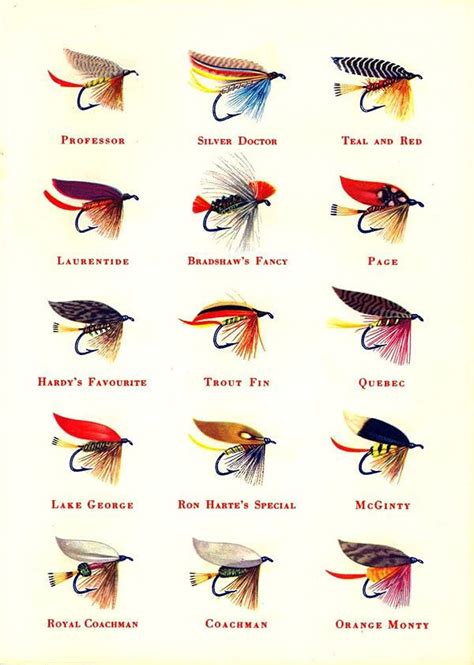 pin  peggy brenner  flies  interest fly fishing fly fishing tips fly tying