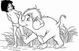 Book Jungle Coloring Pages Disney sketch template