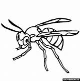 Wasp Avispas Termite Hornets Dibujo Insects Line Designlooter Clipartmag Thecolor Coloringhome Iluminar sketch template