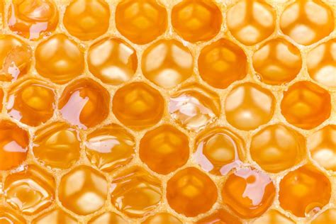heimischer honig hilft gegen keime wesensgemaesse bienenhaltung
