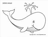 Whale Coloring Pages Printable Colouring Whales Kids Jeffy Templates Template Jonah Color Animal Sperm Sea Crafts Activities Drawing Firstpalette Printables sketch template
