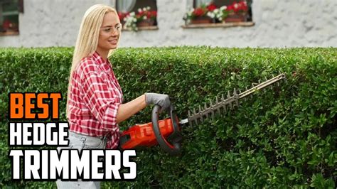 Best Hedge Trimmer In 2024 Top 10 Hedge Trimmers Review Youtube
