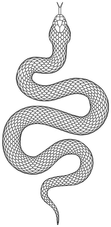 snake template printable