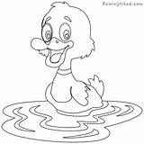 Coloring Cute Pages Duck Ducks Getcolorings Printable Color sketch template