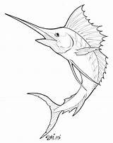 Marlin Swordfish Pez Espada Sailfish Peixe Peces Sketches Easy Coloringbay Aquarela Dog Sharpie sketch template