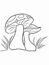 Pages Mushrooms Coloring Colouring Template Nature sketch template