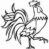 Ayam Mewarnai Burung Kakak Jago Hewan Binatang Mewarna Betina Diwarnai Kataucap Sketsa Kartun Belajar sketch template