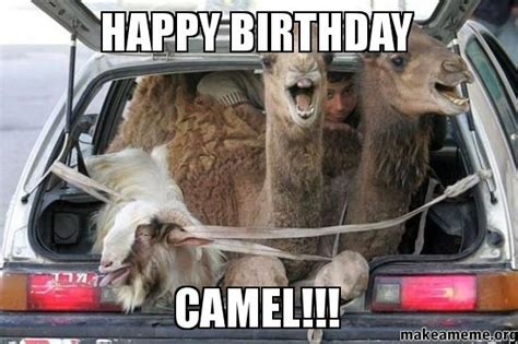 Happy Birthday Camel Make A Meme
