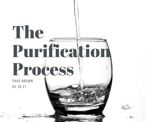 purification process